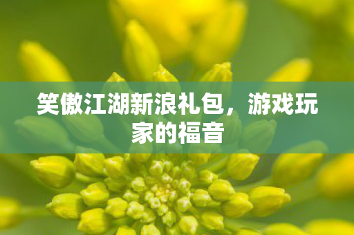 笑傲江湖新浪礼包，游戏玩家的福音