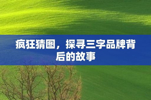 疯狂猜图,探寻三字品牌背后的故事 疯狂猜图,探寻三字品牌背后的故事