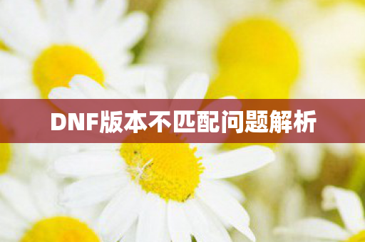 DNF版本不匹配问题解析 DNF版本不匹配问题解析