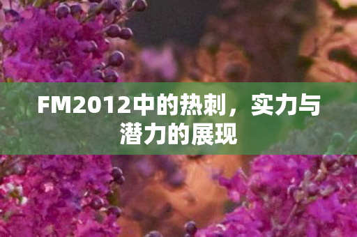 FM2012中的热刺,实力与潜力的展现 FM2012中的热刺,实力与潜力的展现