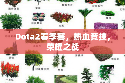 Dota2春季赛,热血竞技,荣耀之战 Dota2春季赛,热血竞技,荣耀之战
