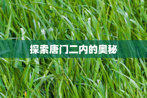 探索唐门二内的奥秘 探索唐门二内的奥秘