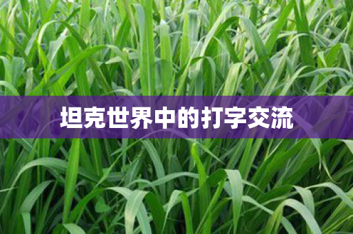 坦克世界中的打字交流 坦克世界中的打字交流