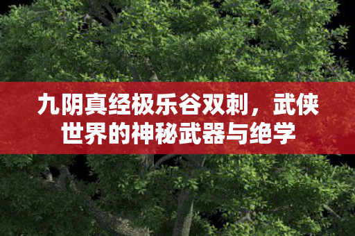 九阴真经极乐谷双刺,武侠世界的神秘武器与绝学 九阴真经极乐谷双刺,武侠世界的神秘武器与绝学