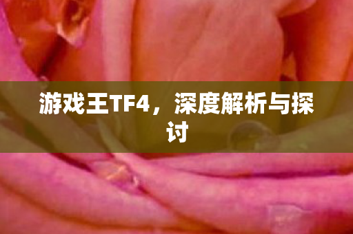 游戏王TF4,深度解析与探讨 游戏王TF4,深度解析与探讨