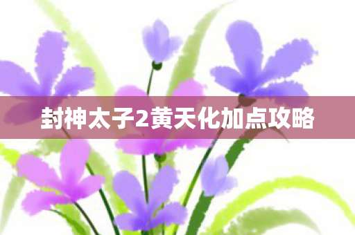 封神太子2黄天化加点攻略 封神太子2黄天化加点攻略