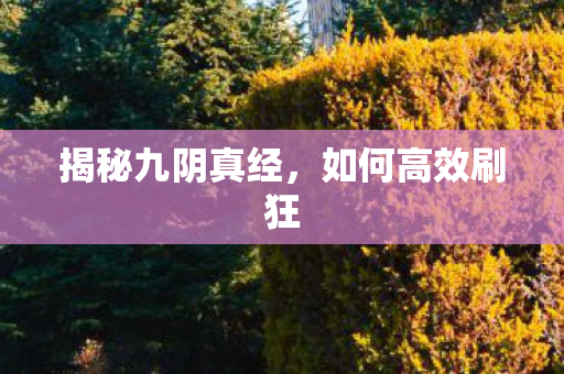 揭秘九阴真经,如何高效刷狂 揭秘九阴真经,如何高效刷狂