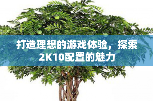 打造理想的游戏体验,探索2K10配置的魅力 打造理想的游戏体验,探索2K10配置的魅力