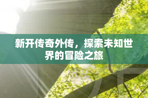 新开传奇外传,探索未知世界的冒险之旅 新开传奇外传,探索未知世界的冒险之旅