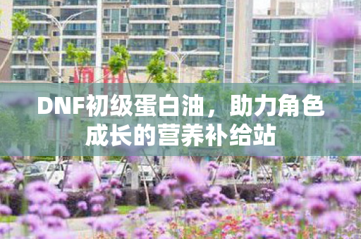 DNF初级蛋白油,助力角色成长的营养补给站 DNF初级蛋白油,助力角色成长的营养补给站