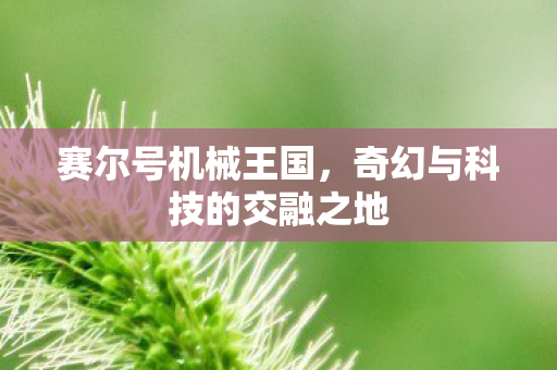 赛尔号机械王国,奇幻与科技的交融之地 赛尔号机械王国,奇幻与科技的交融之地