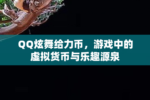 QQ炫舞给力币,游戏中的虚拟货币与乐趣源泉 QQ炫舞给力币,游戏中的虚拟货币与乐趣源泉
