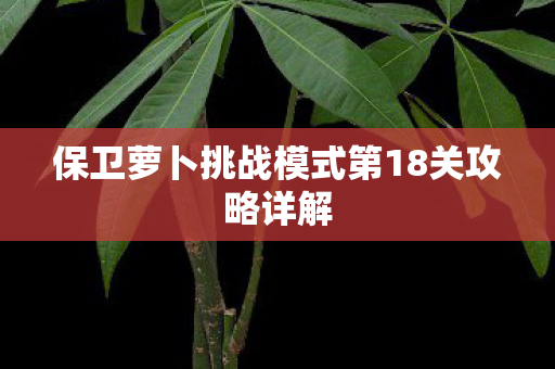 保卫萝卜挑战模式第18关攻略详解 保卫萝卜挑战模式第18关攻略详解
