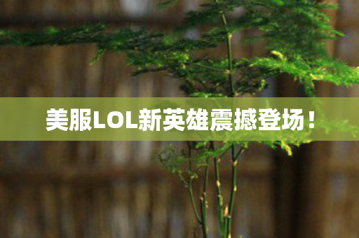 美服LOL新英雄震撼登场! 美服LOL新英雄震撼登场!