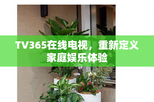 TV365在线电视,重新定义家庭娱乐体验 TV365在线电视,重新定义家庭娱乐体验