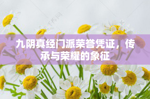 九阴真经门派荣誉凭证,传承与荣耀的象征 九阴真经门派荣誉凭证,传承与荣耀的象征