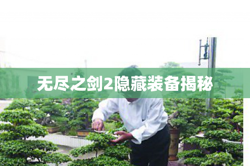 无尽之剑2隐藏装备揭秘 无尽之剑2隐藏装备揭秘