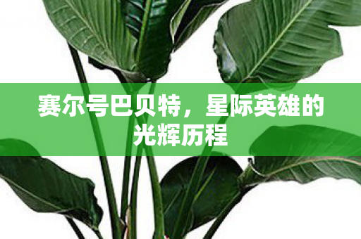 赛尔号巴贝特,星际英雄的光辉历程 赛尔号巴贝特,星际英雄的光辉历程