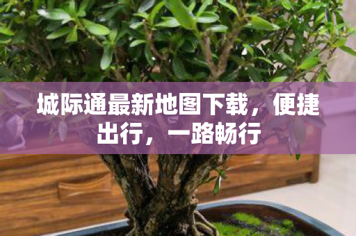 城际通最新地图下载,便捷出行,一路畅行 城际通最新地图下载,便捷出行,一路畅行