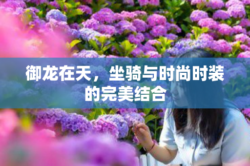 御龙在天,坐骑与时尚时装的完美结合 御龙在天,坐骑与时尚时装的完美结合