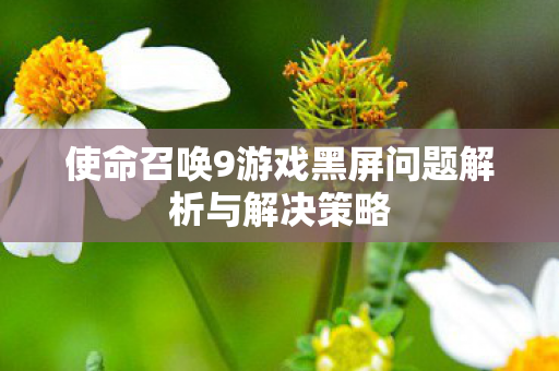 使命召唤9游戏黑屏问题解析与解决策略 使命召唤9游戏黑屏问题解析与解决策略