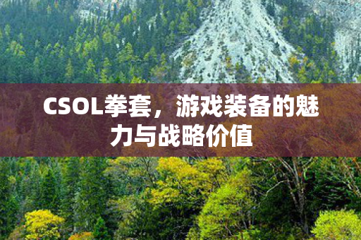CSOL拳套，游戏装备的魅力与战略价值
