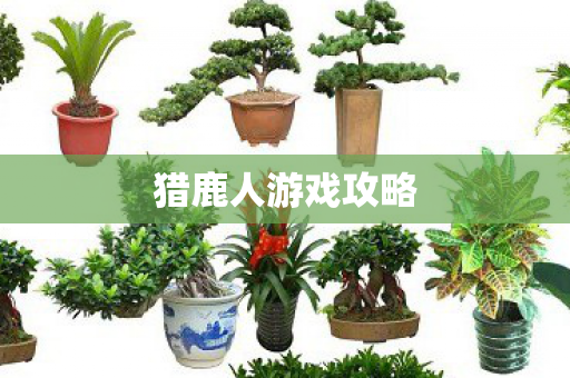 猎鹿人游戏攻略