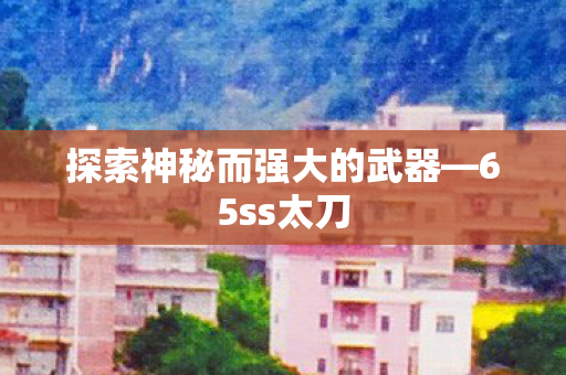探索神秘而强大的武器—65ss太刀 探索神秘而强大的武器—65ss太刀