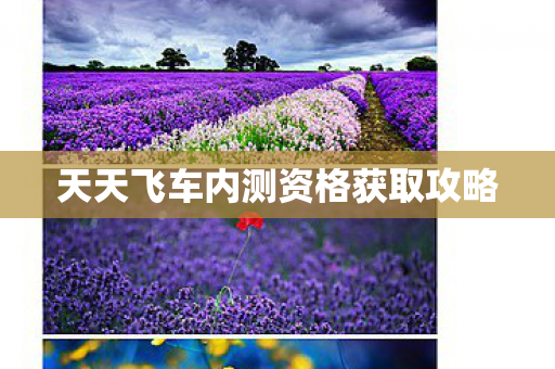 天天飞车内测资格获取攻略