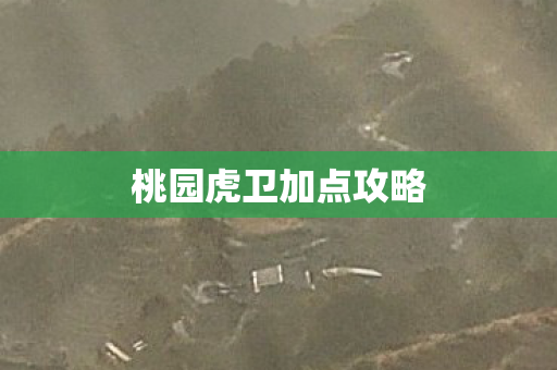 桃园虎卫加点攻略 桃园虎卫加点攻略