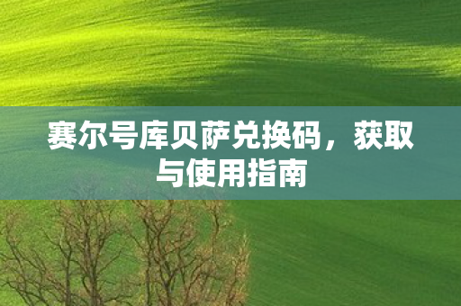 赛尔号库贝萨兑换码，获取与使用指南