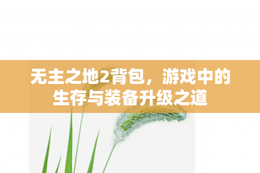 无主之地2背包，游戏中的生存与装备升级之道