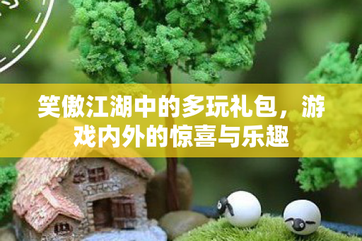 笑傲江湖中的多玩礼包，游戏内外的惊喜与乐趣