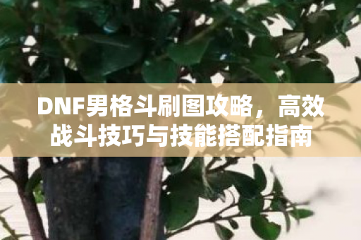 DNF男格斗刷图攻略，高效战斗技巧与技能搭配指南