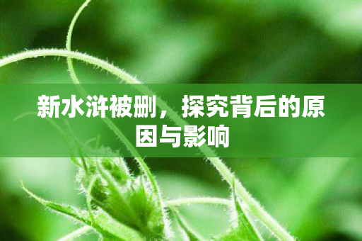 新水浒被删,探究背后的原因与影响 新水浒被删,探究背后的原因与影响