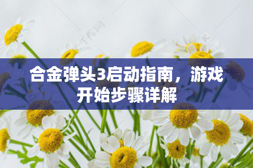 合金弹头3启动指南，游戏开始步骤详解
