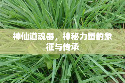 神仙道魂器,神秘力量的象征与传承 神仙道魂器,神秘力量的象征与传承