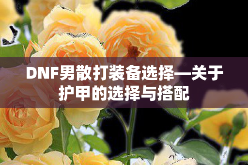 DNF男散打装备选择—关于护甲的选择与搭配 DNF男散打装备选择—关于护甲的选择与搭配