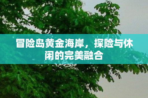 冒险岛黄金海岸,探险与休闲的完美融合 冒险岛黄金海岸,探险与休闲的完美融合