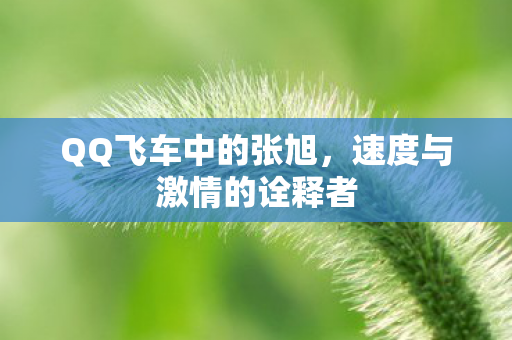 QQ飞车中的张旭，速度与激情的诠释者