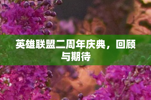 英雄联盟二周年庆典,回顾与期待 英雄联盟二周年庆典,回顾与期待