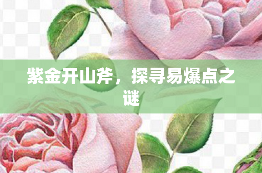 紫金开山斧,探寻易爆点之谜 紫金开山斧,探寻易爆点之谜