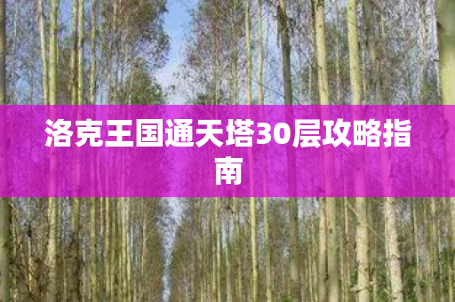 洛克王国通天塔30层攻略指南 洛克王国通天塔30层攻略指南