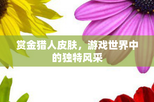 赏金猎人皮肤，游戏世界中的独特风采