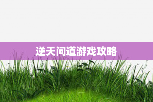 逆天问道游戏攻略