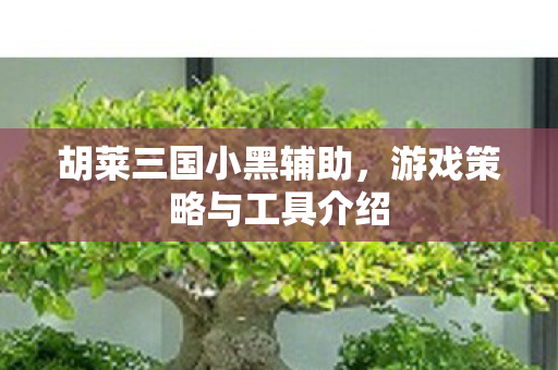 胡莱三国小黑辅助,游戏策略与工具介绍 胡莱三国小黑辅助,游戏策略与工具介绍