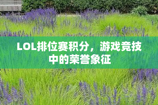 LOL排位赛积分,游戏竞技中的荣誉象征 LOL排位赛积分,游戏竞技中的荣誉象征