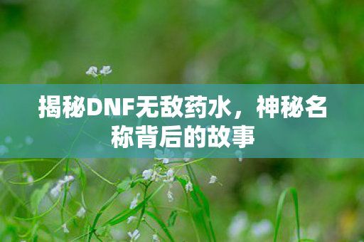 揭秘DNF无敌药水,神秘名称背后的故事 揭秘DNF无敌药水,神秘名称背后的故事
