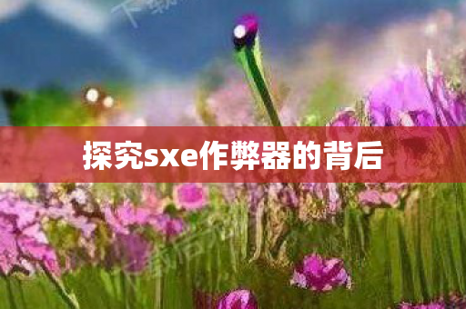 探究sxe作弊器的背后 探究sxe作弊器的背后