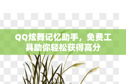 QQ炫舞记忆助手，免费工具助你轻松获得高分